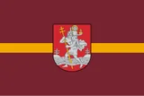 Vilniaus miesto savivaldybė vėliava