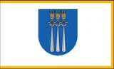 Druskininkų savivaldybė vėliava