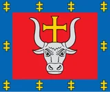 Kauno apskritis vėliava