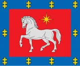 Utenos apskritis vėliava